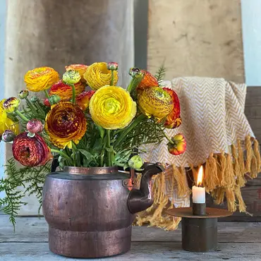 Lær å dyrke blomster hjemme thumbnail 1