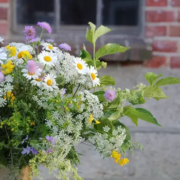 Lær å dyrke blomster hjemme thumbnail 4