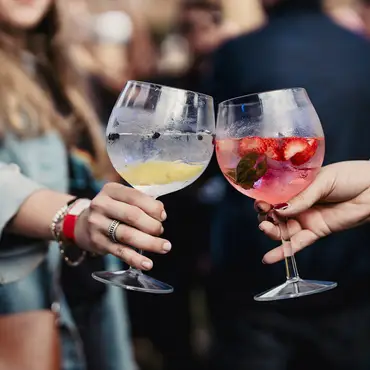 Gin & Tonic smaking thumbnail 5