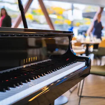 Afternoon tea cruise thumbnail 4