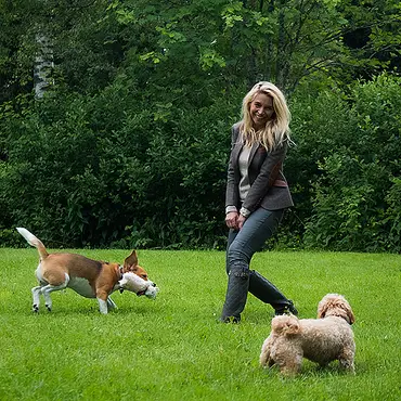 Hundekurs med Trude Mostue thumbnail 6