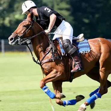 Prøv hestepolo thumbnail 1