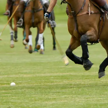 Prøv hestepolo thumbnail 3