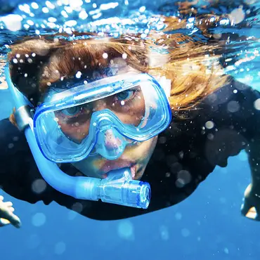 Snorkling i Lofoten thumbnail 3
