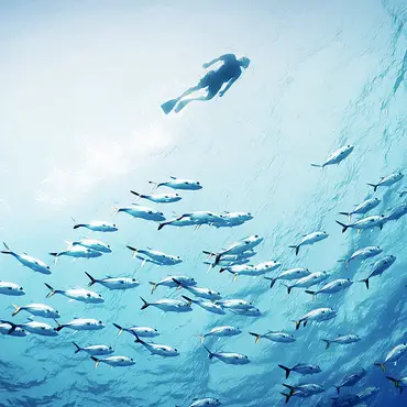 Snorkling i Lofoten thumbnail 2