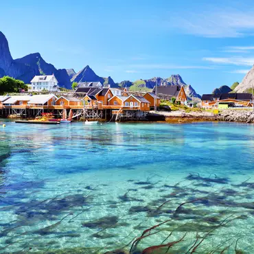 Snorkling i Lofoten thumbnail 4