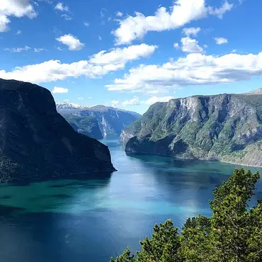 Guidet fjordtur med cruise thumbnail 5