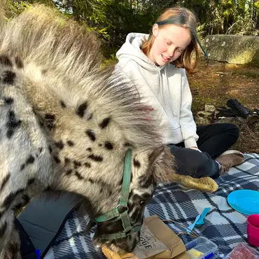 Piknik med dyrene thumbnail 2