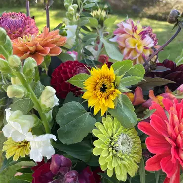 Kurs i blomsterdyrking thumbnail 2