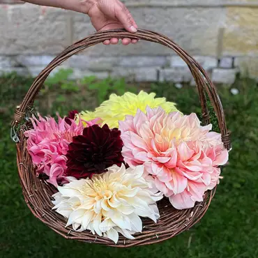 Kurs i blomsterdyrking thumbnail 5