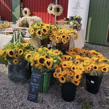 Kurs i blomsterdyrking thumbnail 9