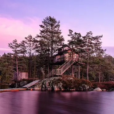 Natt i tretopphytte thumbnail 2