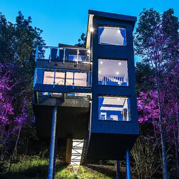 Natt i tretopphytte thumbnail 3