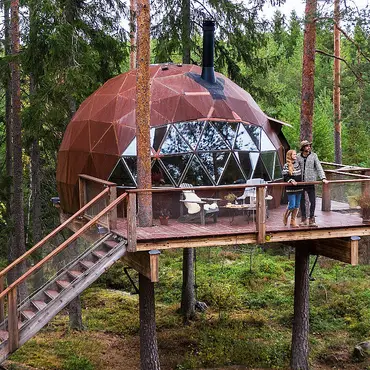 Natt i tretopphytte thumbnail 6