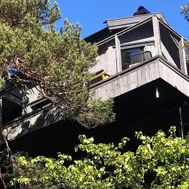 Natt i tretopphytte thumbnail 8