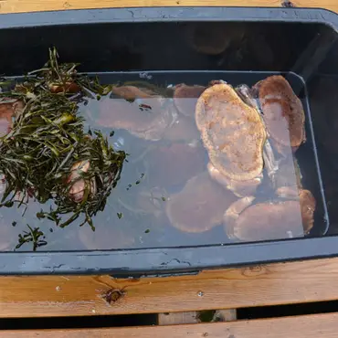 Fisketur med matlaging thumbnail 6