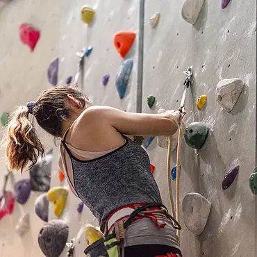 Topptaukurs thumbnail 3