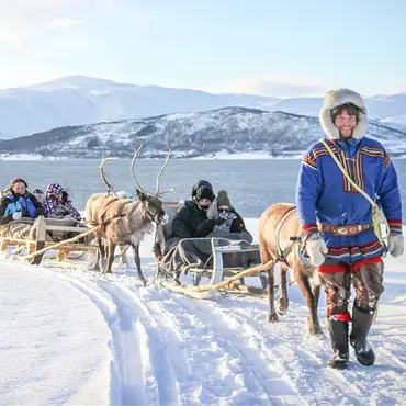 Reinsdyrsafari thumbnail 4