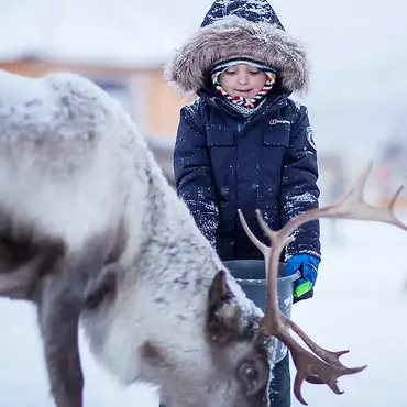 Reinsdyrsafari thumbnail 6