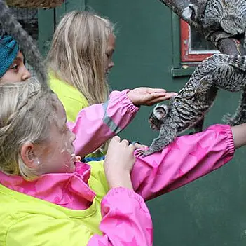 Dyreparken for barn thumbnail 1