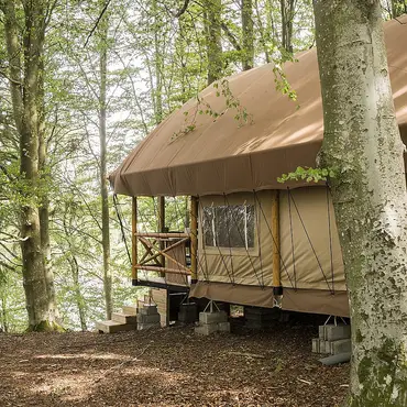 Safari Camp thumbnail 3