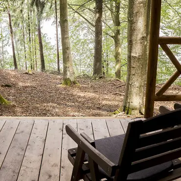 Safari Camp thumbnail 5