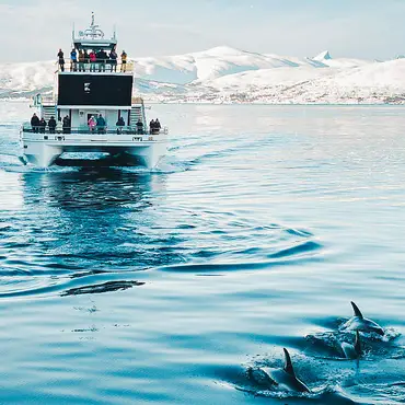 Hvalsafari thumbnail 1