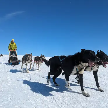 Hundekjøring heldagstur thumbnail 2