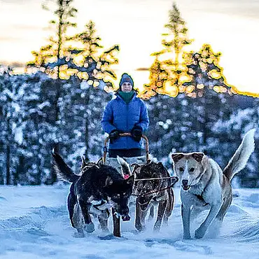 Hundekjøring heldagstur thumbnail 6