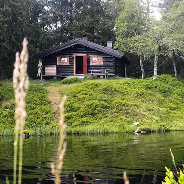 Natt i skogshytta thumbnail 5