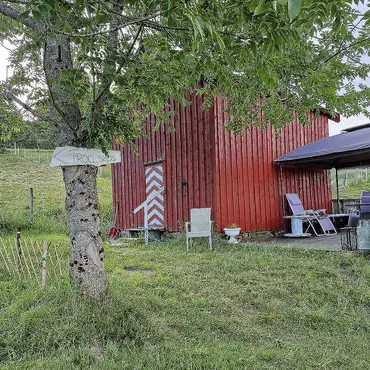 Stabbursnatt med alpakkaer thumbnail 11