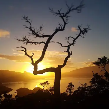 Hytta i Tretoppene thumbnail 9