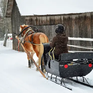 Kanefart med middag thumbnail 2