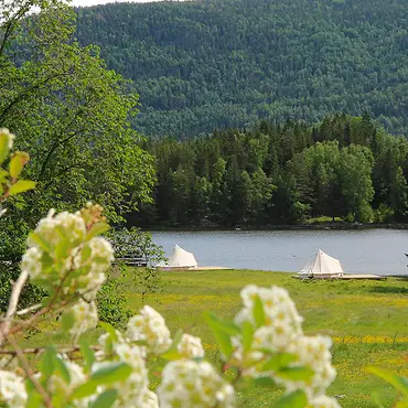 Glamping thumbnail 5