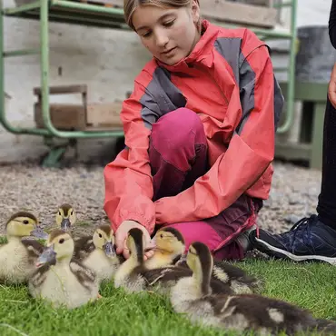 Gårdsbesøk for to thumbnail 3