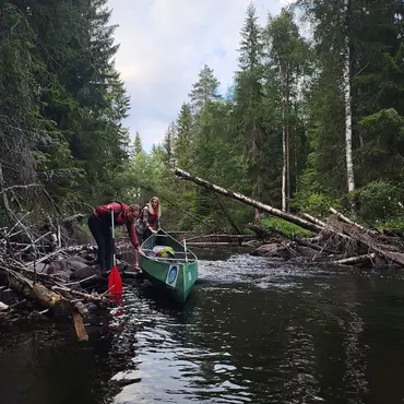 Beversafari thumbnail 8