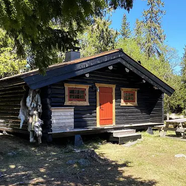 Natt i skogshytta thumbnail 1