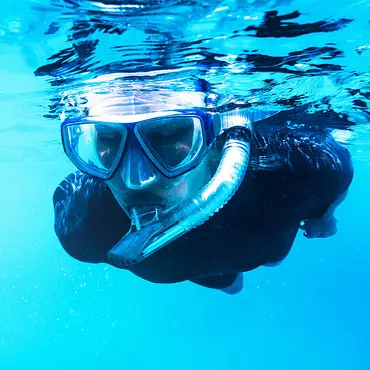 Snorkling i Lofoten thumbnail 1