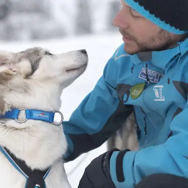 Hundekjøring, kennelbesøk og overnatting thumbnail 1