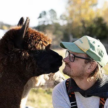 Alpakkabesøk thumbnail 1