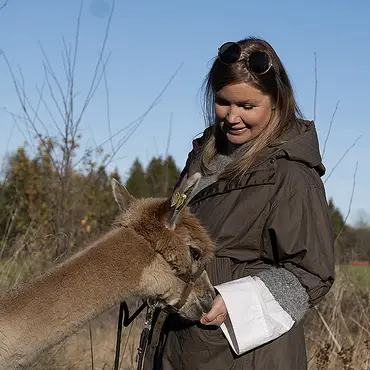 Alpakkabesøk thumbnail 4