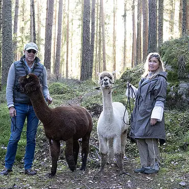 Alpakkavandring for familien thumbnail 8