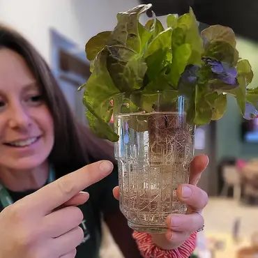 Kurs i vanndyrking thumbnail 1