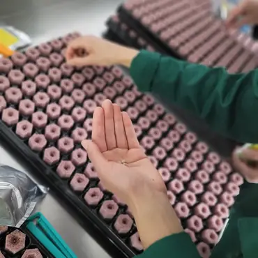 Kurs i vanndyrking thumbnail 7