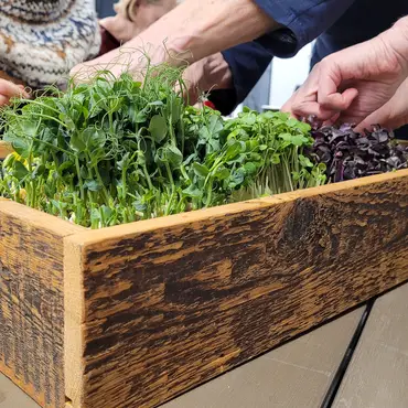 Kurs i hjemmedyrking thumbnail 5