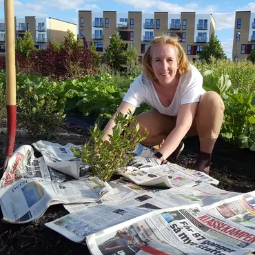 Lær å lage egen kjøkkenhage thumbnail 5