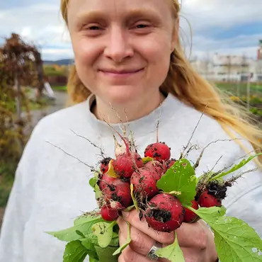 Lær å lage egen kjøkkenhage thumbnail 8