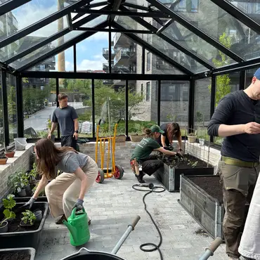 Lær å lage egen kjøkkenhage thumbnail 10