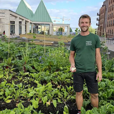 Lær å lage egen kjøkkenhage thumbnail 12