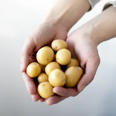 Øl- og akevittsmaking thumbnail 3